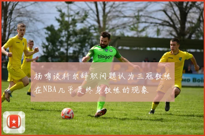 杨鸣谈科尔辞职问题认为三冠教练在NBA几乎是终身教练的现象