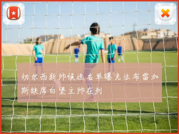 切尔西新帅候选名单曝光法布雷加斯缺席白堡主帅在列