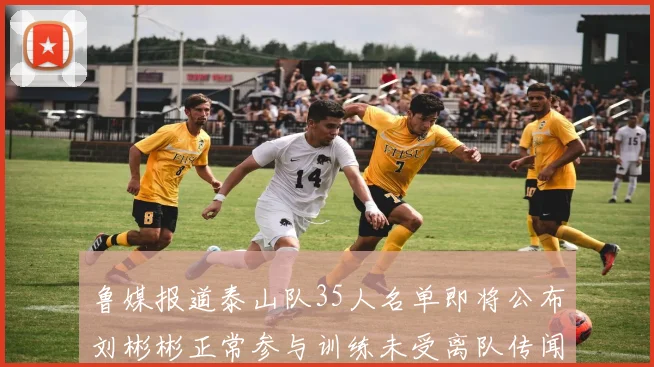 鲁媒报道泰山队35人名单即将公布刘彬彬正常参与训练未受离队传闻影响