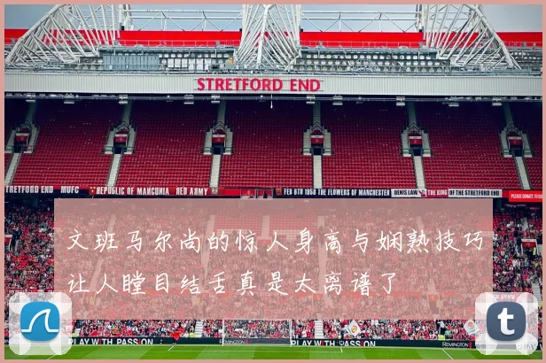 文班马尔尚的惊人身高与娴熟技巧让人瞠目结舌真是太离谱了