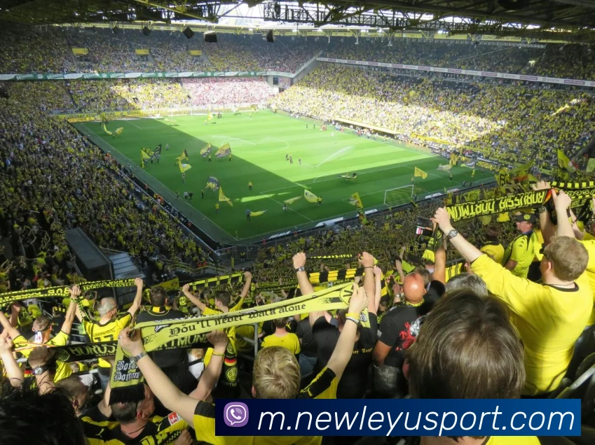 乐鱼体育品牌故事